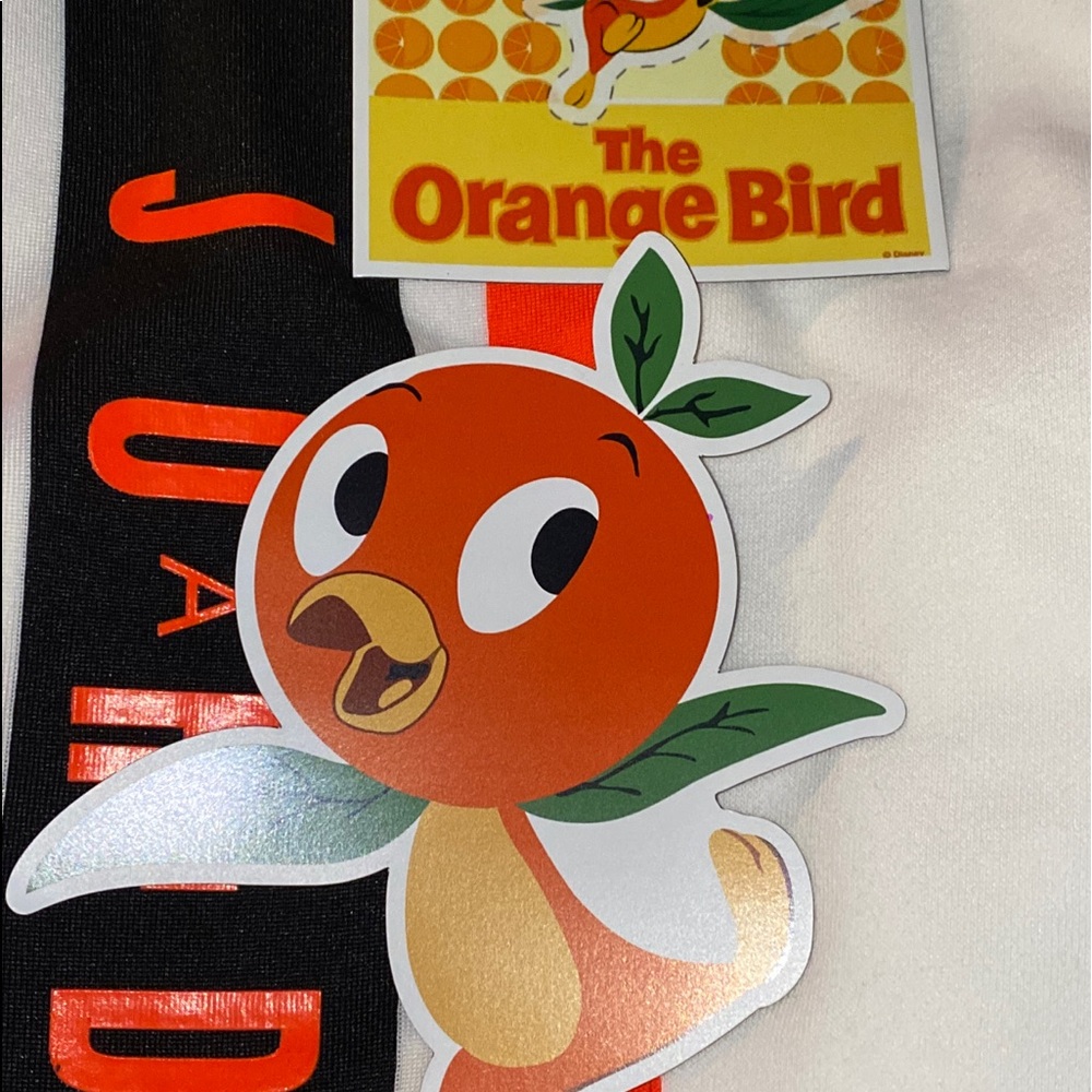TWO 4x6 Orange bird magnet said Disney brand new
